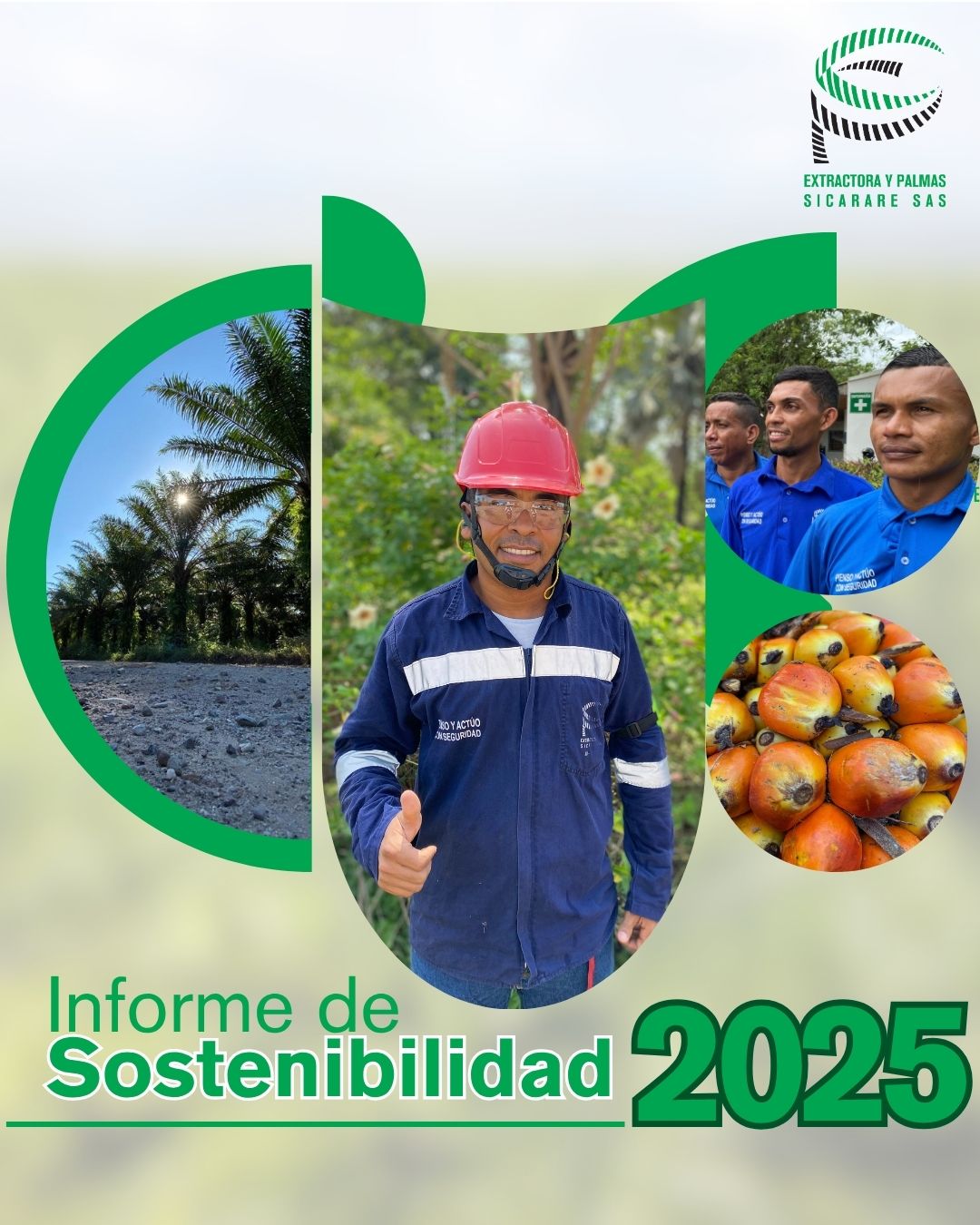 Informe de Sostenibilidad 2025